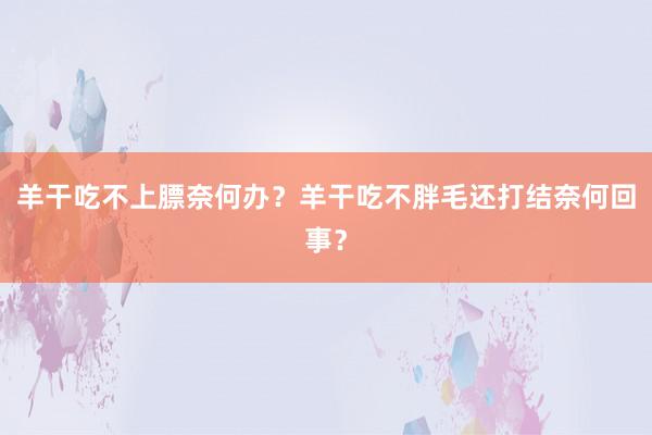 羊干吃不上膘奈何办?羊干吃不胖毛还打结奈何回事?